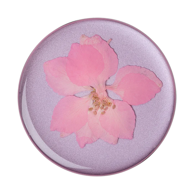 Pressed Flower Delphinium Pink