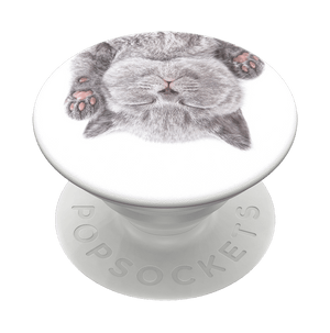 Cat Nap, PopSockets