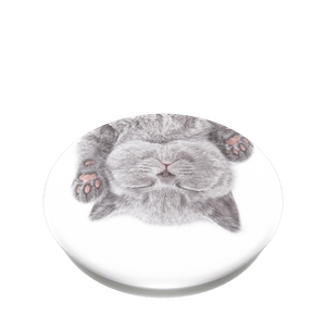 Cat Nap, PopSockets