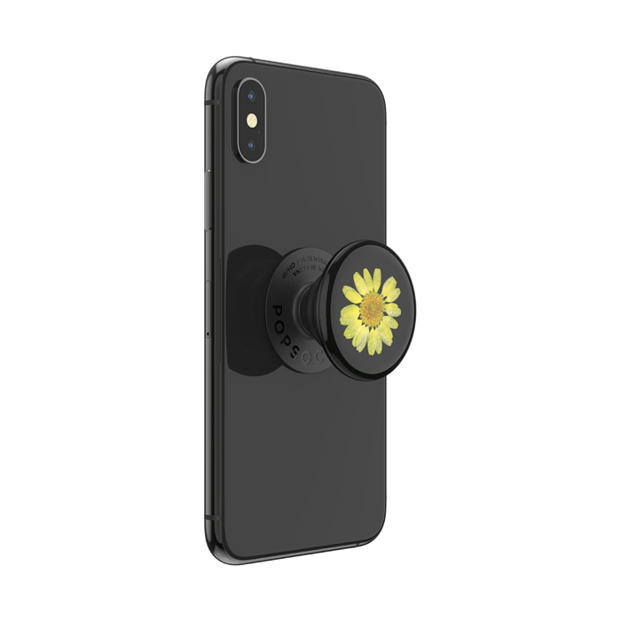 Pressed Flower Yellow Daisy, PopSockets