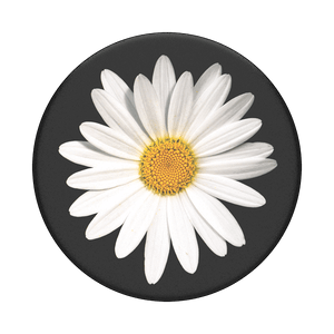 White Daisy, PopSockets