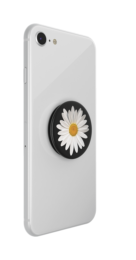 White Daisy